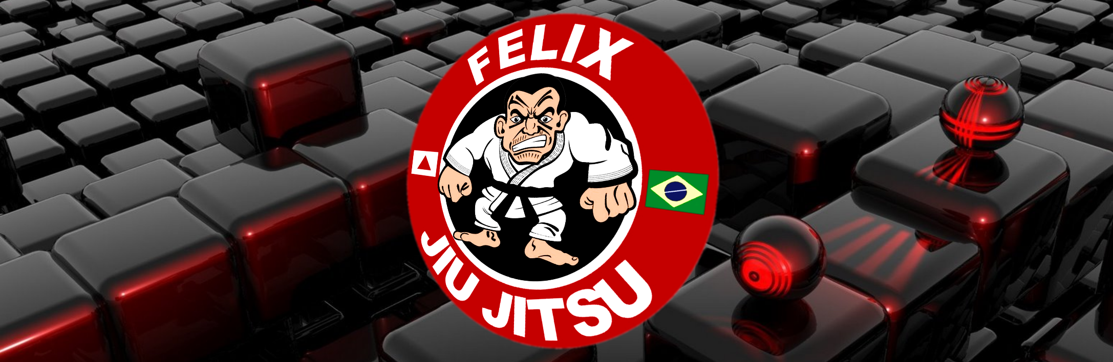 FELIX JIU JITSU